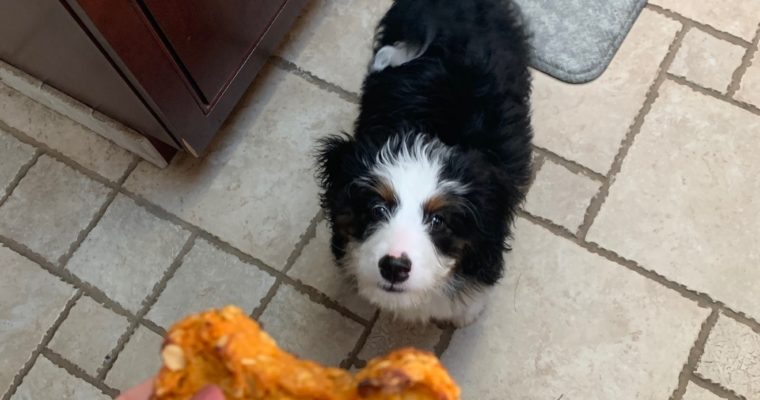 Sweet Potato and Carrot Treats