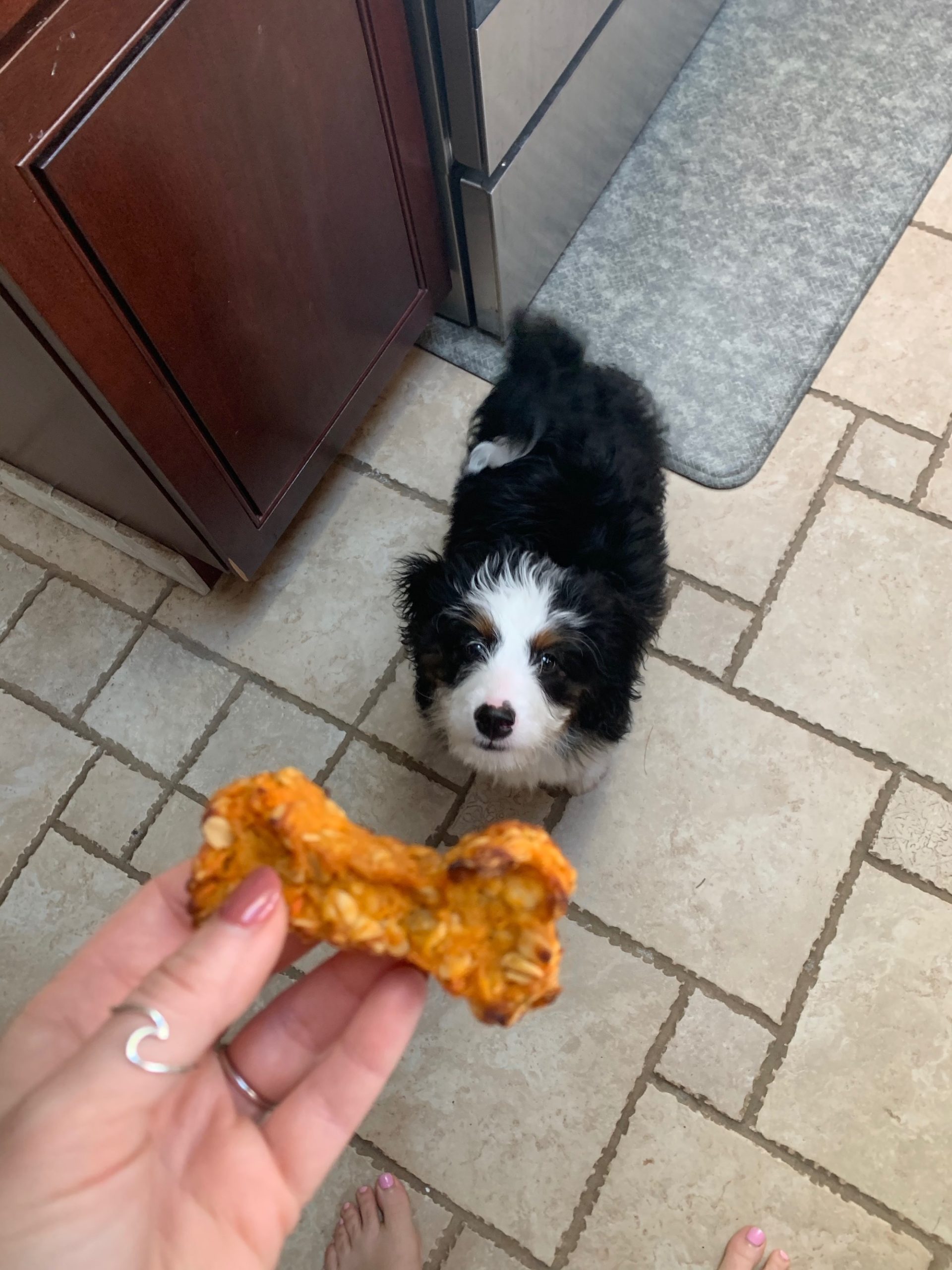 Sweet Potato and Carrot Treats