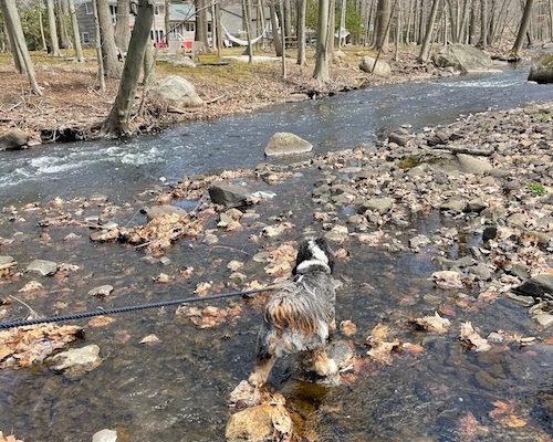 How to keep your Mental Health, Healthy