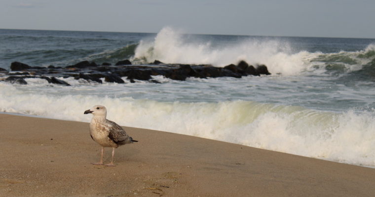 How to de-stress your life!