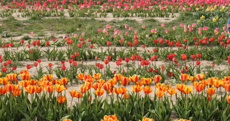 How to Prioritize Presence as We Navigate a New Normal