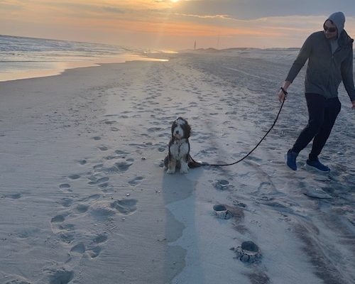 How to be less Reactive