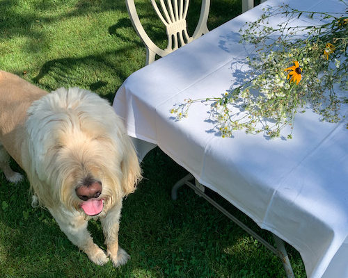 If I’m Too Much, Go Find Less