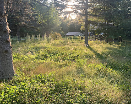 No One Can Make You Feel Inferior Without Your Consent