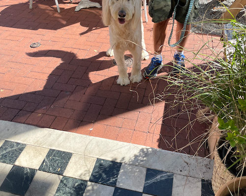 Reach for Higher Feeling Thoughts