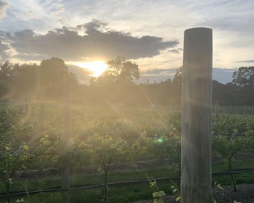 Growth is Not Linear