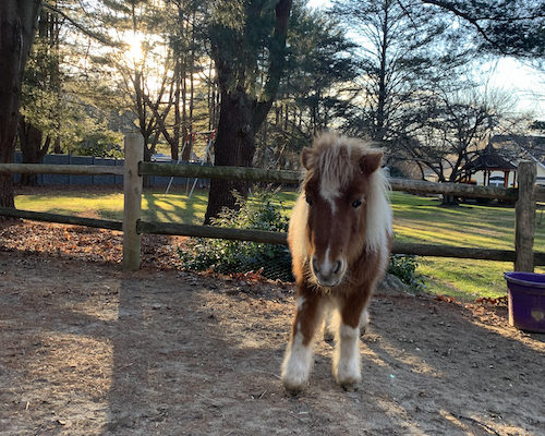 It Doesn’t Matter How it Looks, it Matters How it Feels