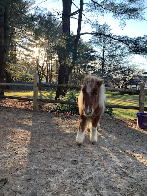 It Doesn’t Matter How it Looks, it Matters How it Feels