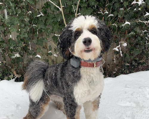 7 Ways to Combat Feeling Overwhelmed This Holiday Season