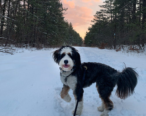 Having Trouble Focusing? Look at What You’re Consuming