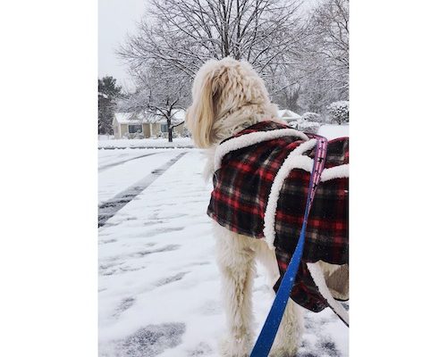 A mind blowing singular breakthrough is not what changes your life. A micro shift is.