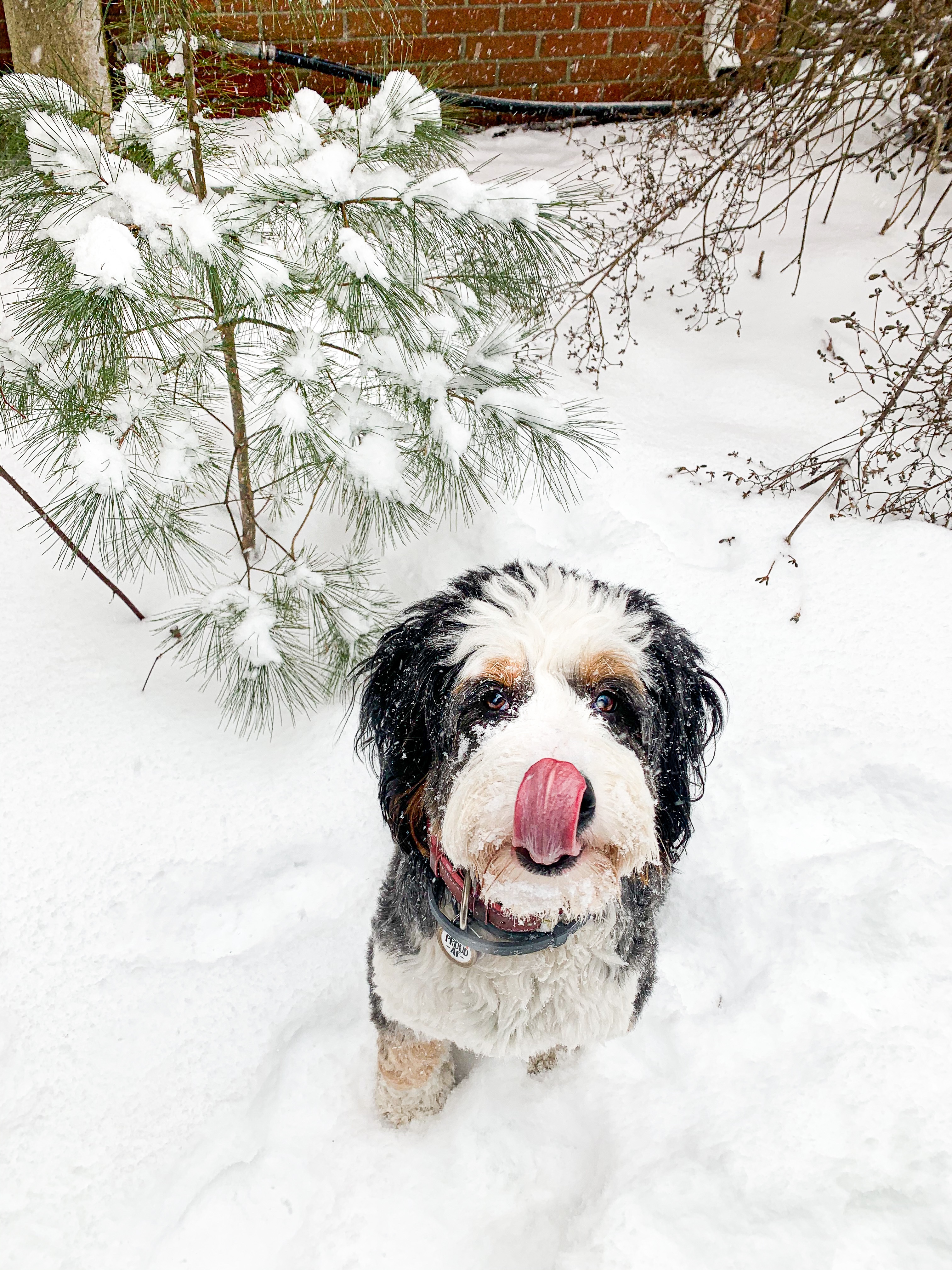 The Truth about Happiness