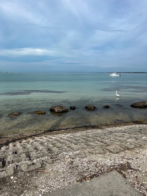 ￼The Gap Between Knowing Better and Doing Better