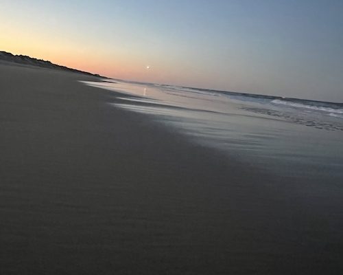 ￼For the People Who Think They Feel Too Much