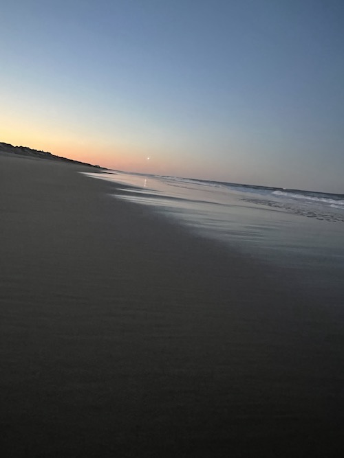 ￼For the People Who Think They Feel Too Much