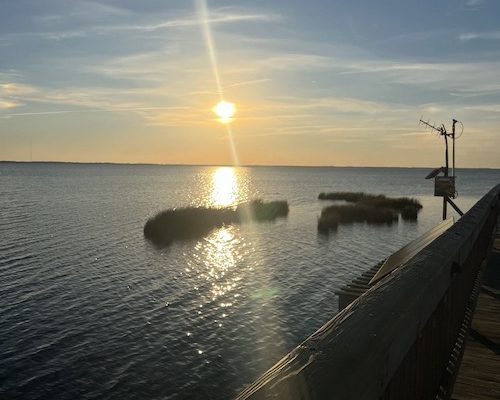 Let it hurt, then let it heal