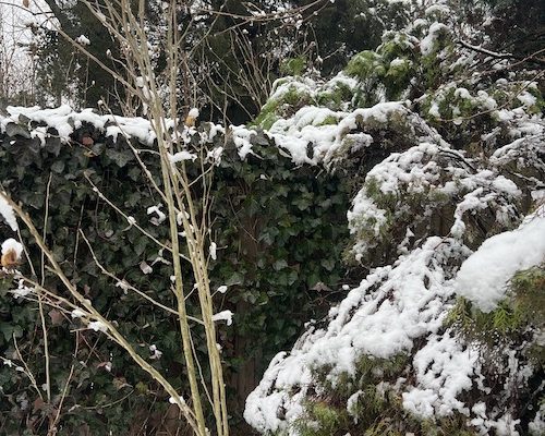 ￼Thoughts Are Not Facts