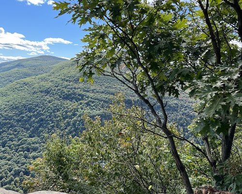 Rock and a hard place￼