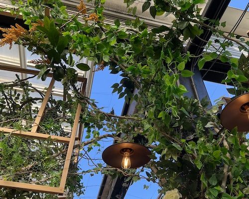 A gentle reminder to focus on the good