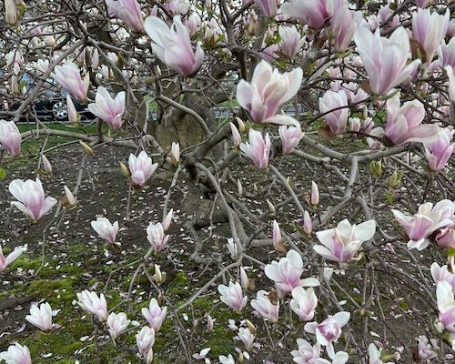 ￼Create a Good Things Photo Album