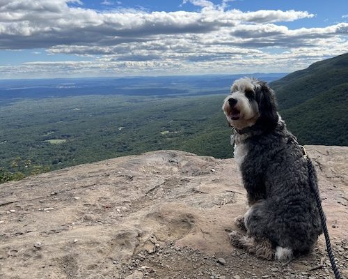 Be Proud of Your Climb