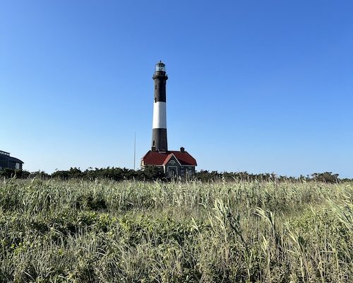 Mid-Year Goals Check In