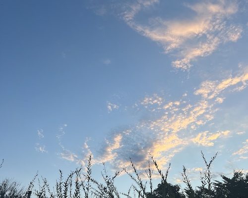 ￼How to Fill Your Self-Care Cup Even with a Busy Schedule