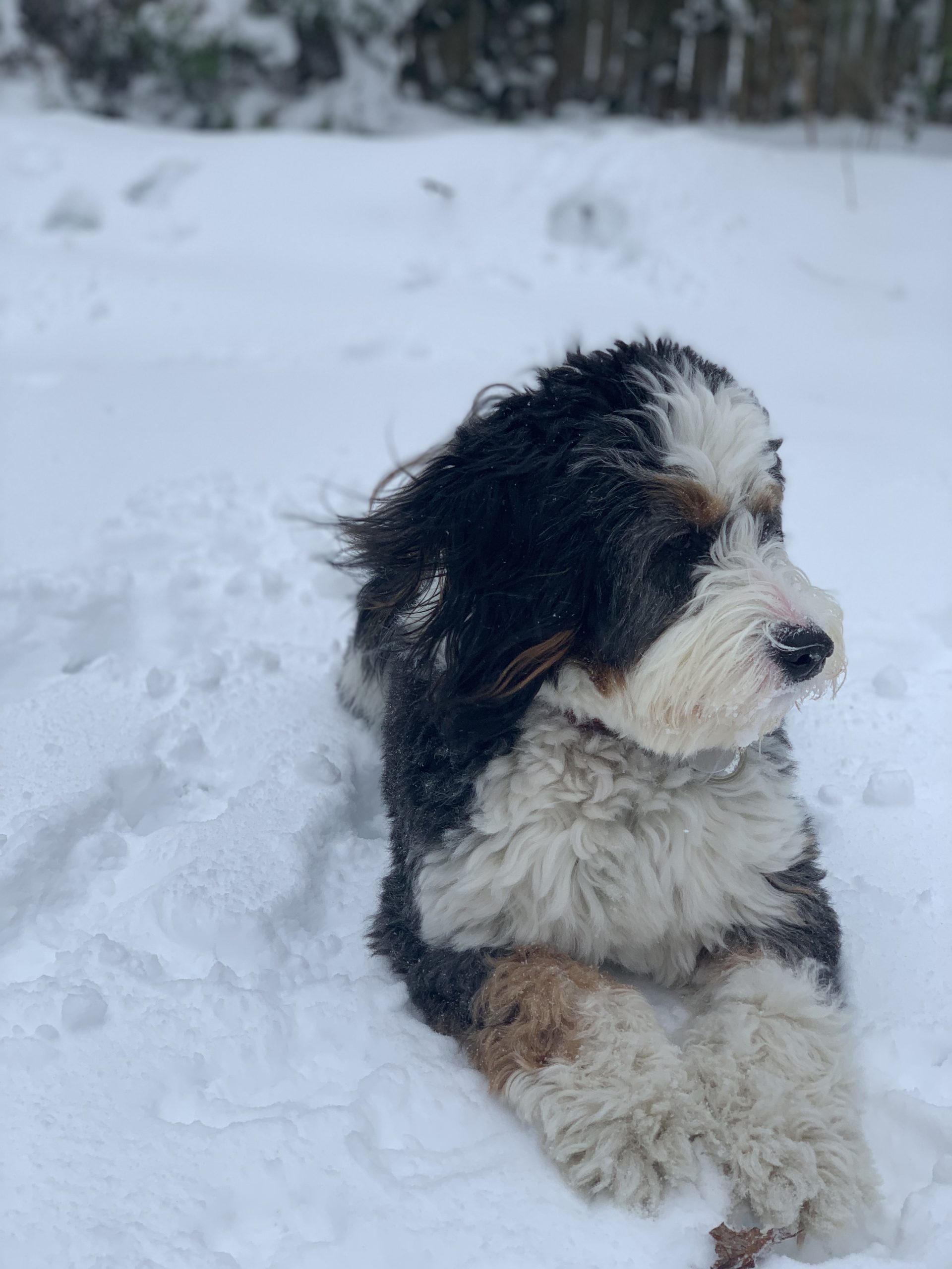 How To Protect Your Peace This Holiday Season￼